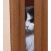 Cats 10