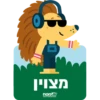 Pele Teva 17