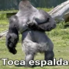 Gorilla Gym 21