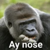 Gorilla Gym 22