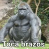 Gorilla Gym 23