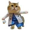 Cats 13