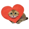 Cats 14