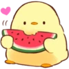 Soft and Cute Chicks Summer 23