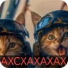 Военные котики. сделано:@GordoKotik 17