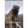 Tuhaf Şeyler 27