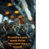 Военные котики. сделано:@GordoKotik 18