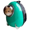 Cats 17