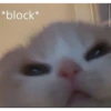 lil silly cats 11