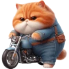 kucing oren 5