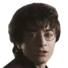 harry potter 12