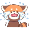 Mimi Red Panda 1 11