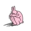 Seonghwa pink bun 10