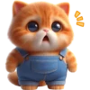kucing oren 8