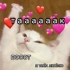 Котики 12
