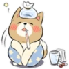 Pretty Puppy 2 14