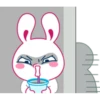 Cutie White Rabbit 11