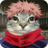 Jujitsu Catson 6