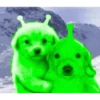 👽 alien cats 🐈‍⬛️ by чYча 11