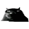 black cat 6