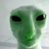 👽 alien cats 🐈‍⬛️ by чYча 12