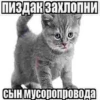 KZpzYBY_by_achestickbot 8
