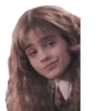 harry potter 15