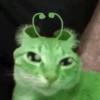 👽 alien cats 🐈‍⬛️ by чYча 14