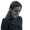 harry potter 17