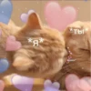 Котики 16