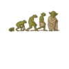 Yoda! 12