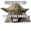 Yoda! 14