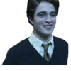 harry potter 18
