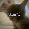 Cars 13