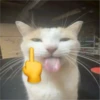 I love cars 15
