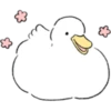 Cutie Duck 1 13