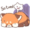 Mimi Red Panda 1 19