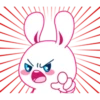 Cutie White Rabbit 13