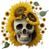 ☠️the death of the sunflower🌻 14