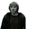 harry potter 19