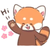 Mimi Red Panda 1 22