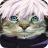 Jujitsu Catson 9