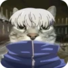 Jujitsu Catson 10