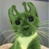 👽 alien cats 🐈‍⬛️ by чYча 16