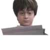 harry potter 20