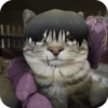 Jujitsu Catson 11