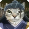 Jujitsu Catson 12