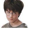 harry potter 22