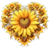 ☠️the death of the sunflower🌻 19