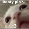 Cars 17